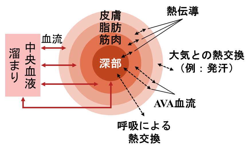 生徒